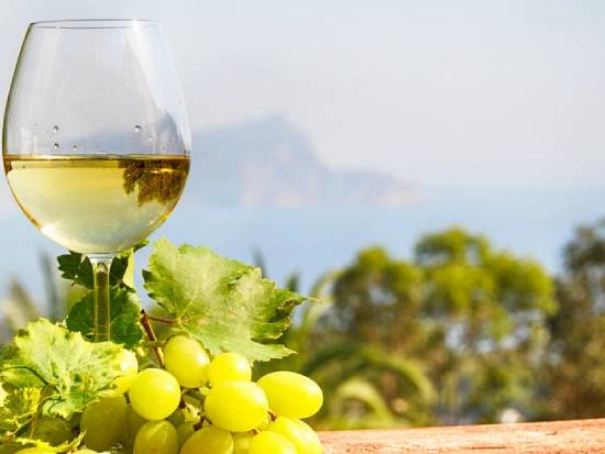 Discover the Rich Wine Heritage of Catalonia with the Best ‘Vineyards Tour Near Me’